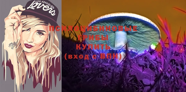 герыч Алзамай