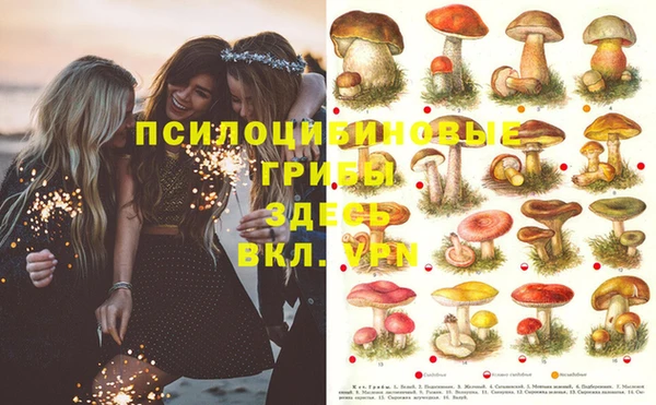 индика Алексеевка