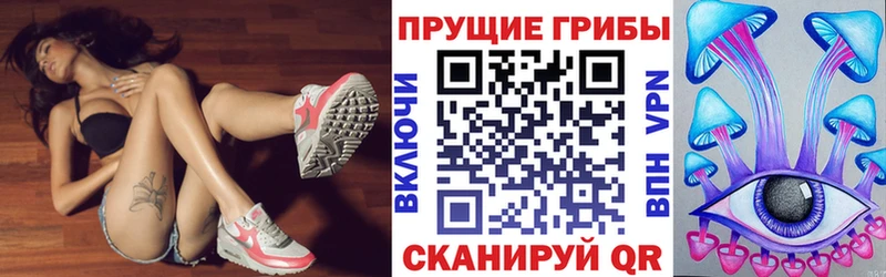 Галлюциногенные грибы Psilocybine cubensis Петрозаводск
