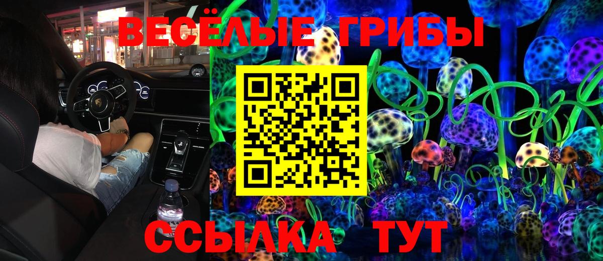 Галлюциногенные грибы прущие грибы Петрозаводск