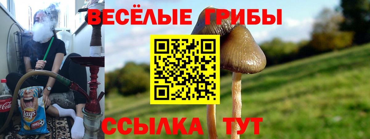 Петрозаводск  Галлюциногенные грибы Magic Shrooms  Вход с VPN  Галлюциногенные грибы прущие грибы 